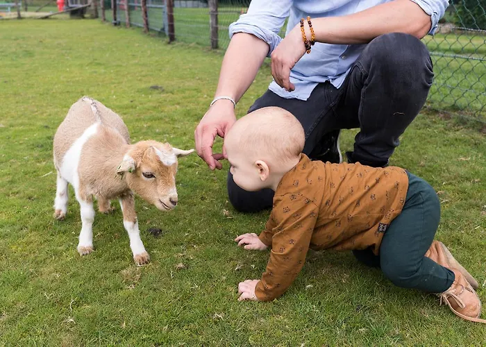 Stayokay Gorssel - Deventer Albergue *